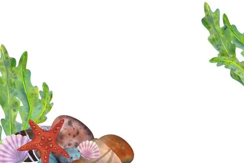 Marine composition, frame, template on a white background. Sea stones, algae Stock Illustration