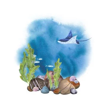 Marine composition on a white background. Sea stones, algae, stingray, fish Stock Illustration