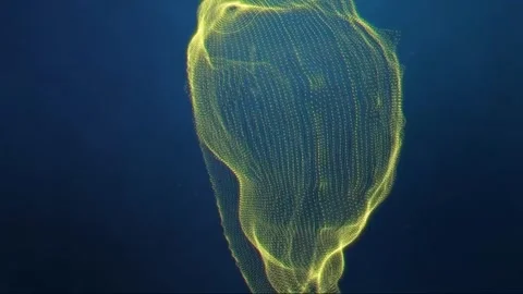 Marine dance Stock Footage 154850841