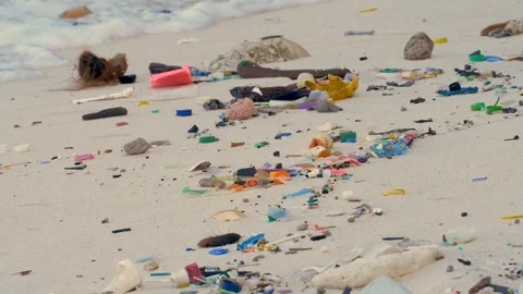 Marine Debris Plastic on the Beach Stock Footage 111613399