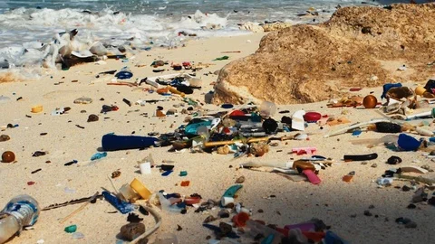 Marine Debris Plastic on the Beach Stock Footage 111613446