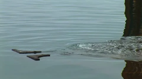 Marine dock Video stock 12516391