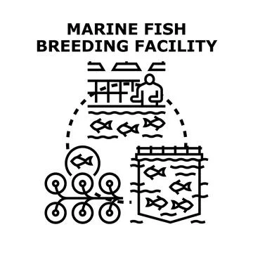 Marine fish breeding facility working aquaculture industry system Illustrazione stock