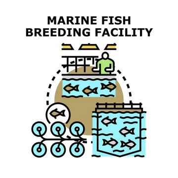 Marine fish breeding facility working aquaculture industry system Stock Illustration