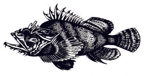 Marine fish pen Stock Illustration