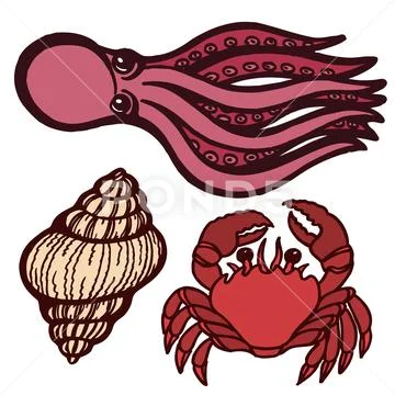 Marine inhabitants. Octopus, crab and shellfish. Isolated objects. Vector Image. Stock Illustration
