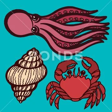 Marine inhabitants. Octopus, crab and shellfish. Isolated objects. Vector Image. Stock Illustration