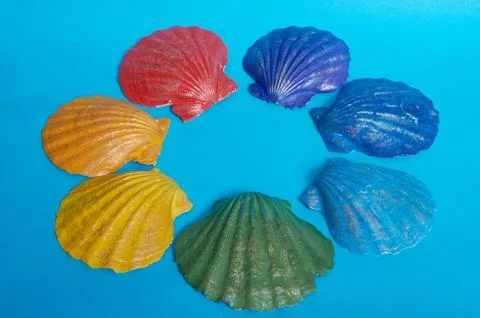 Marine layout. Seven shells, painted in the colors of the rainbow, lie on a b Stock Photos