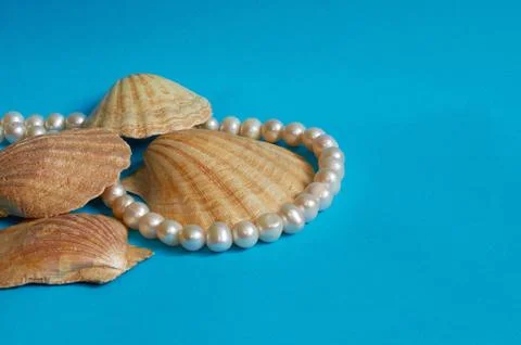 Marine layout. Several seashells and pearl beads on a blue background. Stock Photos