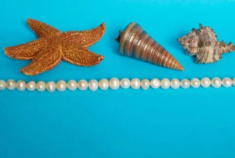 Marine layout. Starfish, two shells and pearl beads on a blue background. Stock Photos
