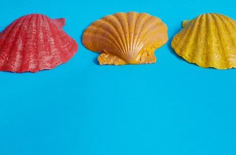 Marine layout. Three sea shells painted in red, yellow and orange on a blue b Stock Photos