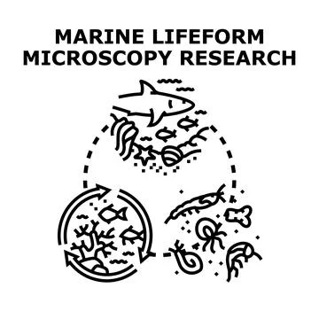 Marine life research exploring ocean biodiversity and ecosystems Illustrazione stock