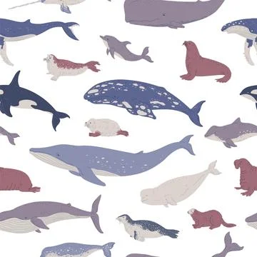 Marine mammals seamless pattern, flat vector illustration on white background. Stock Illustration