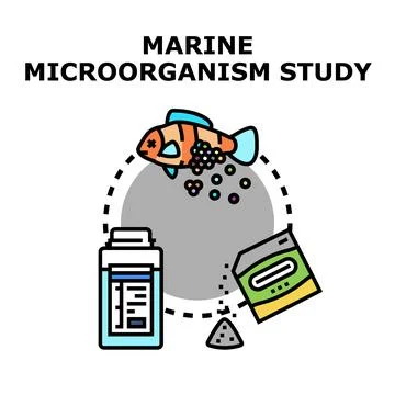 Marine microorganism study concept icon set Stock Illustration