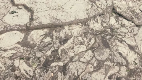 Marine mucilage covered sea surface and making danger for marine life Stock Footage 154851191