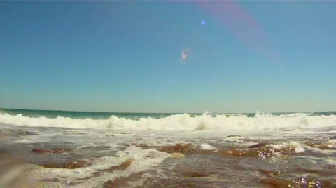 Marine nature Stock Footage 835558