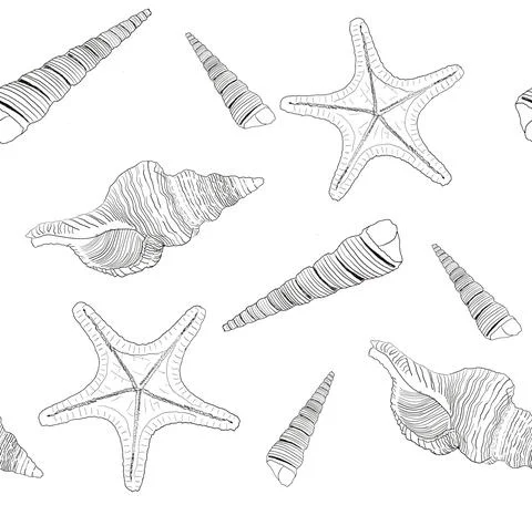 Marine pattern with seashells and starfish. Vector illustration Illustrazione stock