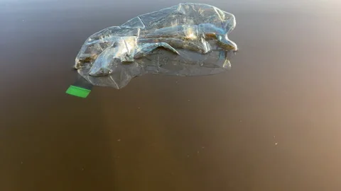 Marine plastic pollution from human activities at coastlines. Stock Footage 251915883