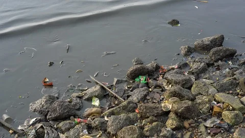 Marine pollution Stock Footage 85863315