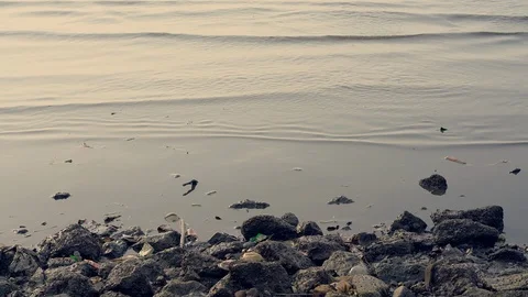 Marine pollution Stock Footage 96089797