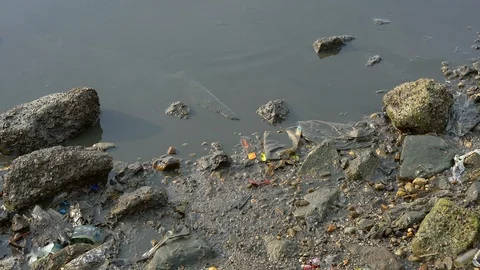 Marine pollution. Video stock 96142636