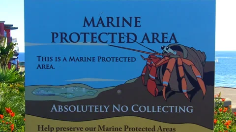 Marine Protected Area Warning Sign- Corona Del Mar Beach- California Vidéo 33491002