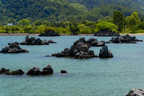 Marine reefs. Stock Photos