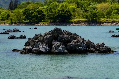 Marine reefs. Stock Photos