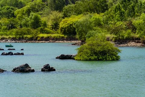 Marine reefs. Stock Photos