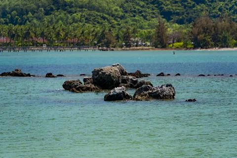 Marine reefs. Stock Photos