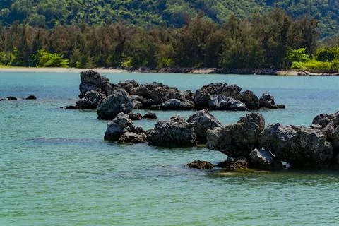 Marine reefs. Stock Photos