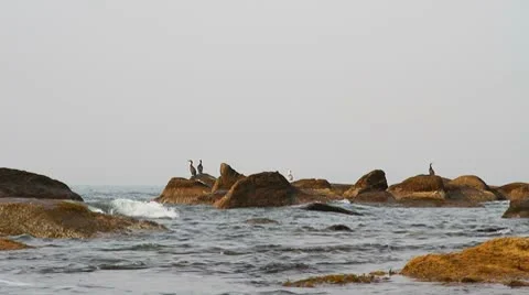 Marine rocks Stock Footage 8926725