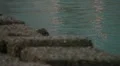 Marine rocks at sunset HD Footage