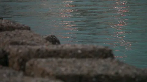 Marine rocks at sunset Stock Footage 10593259