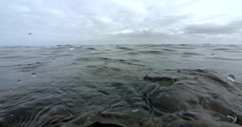 Marine Sanctuary, Cuttlefish Migration, Over-Underwater Clip6716 Stock Footage 229535012