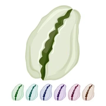 Marine sea shell cartoon vector graphic Stock Illustration