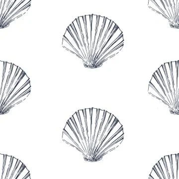 Marine seamless pattern from seashells Illustration
