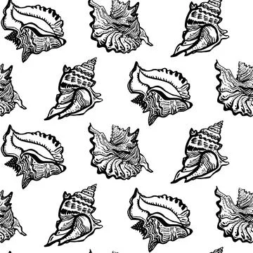 Marine shell seashell live line style hand drawn black ink seamless pattern. Stock Illustration