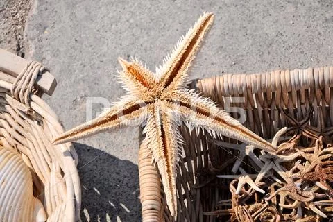 Marine story Stock Photos