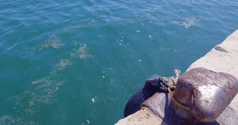 Marine surface pollution. T head bollards in the harbor. Stock Footage 133196526