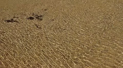 Marine waves Stock Footage 10888418