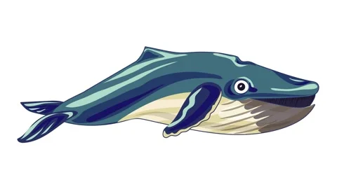 Marine whale icon animation Stock Footage 152555863