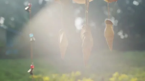 Marine wind chime made of seashells hanging outdoors backlit with sun rays lens Vidéo 130259004