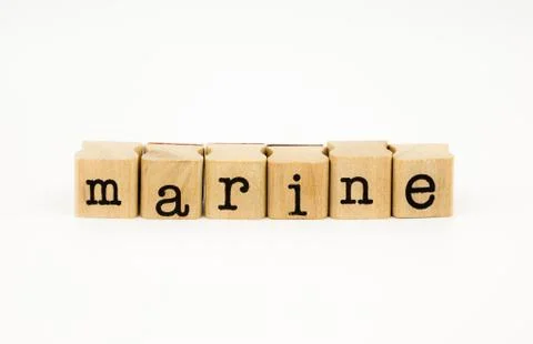 Marine wording isolate on white background Stock Photos