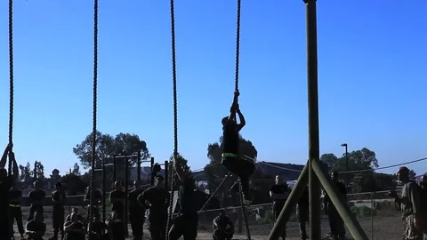 Marines in basic training compete in various workout drills. Video stock 74812283
