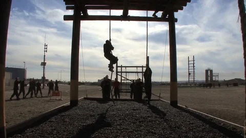 Marines in basic training compete in  various workout drills. Stock Footage 123376879