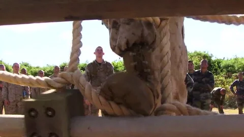 Marines in basic training go through various workout drills such as rope Stock Footage 74807640