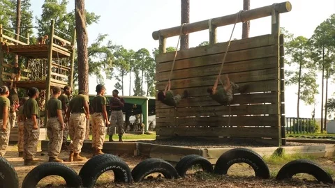 Marines in basic training go through various workout drills. Video stock 74811940