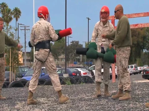 Marines in basic training learn hand to hand combat techniques using foam bats. Video stock 74799490