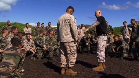 Marines in basic training learn martial arts. Stock Footage 74807494